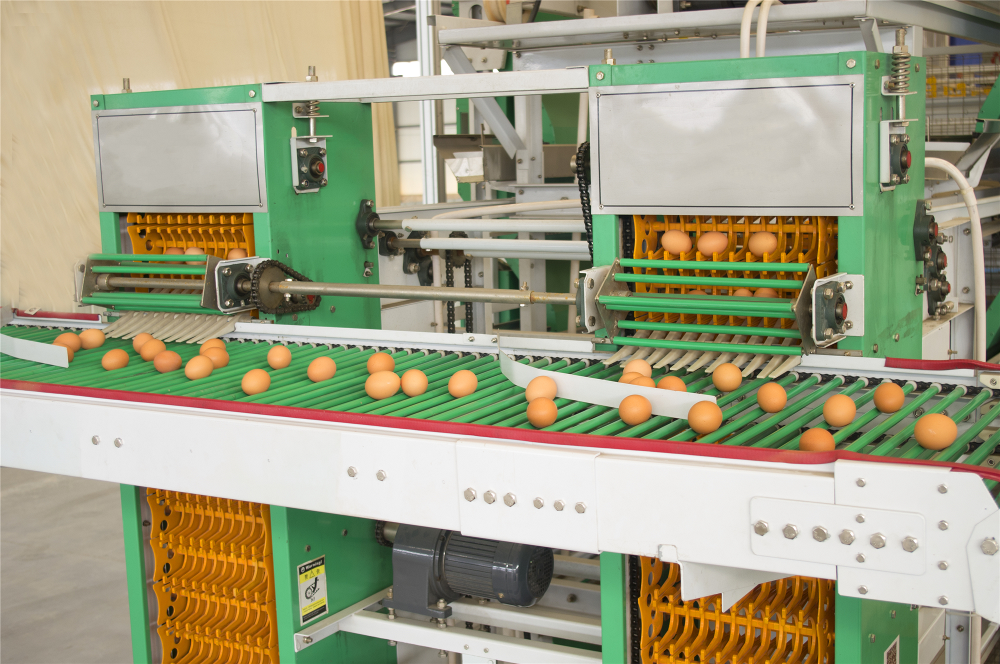 Poultry Farm Equipment